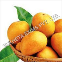 Manufacturers Exporters and Wholesale Suppliers of Ripe Kesar Mango Aurangabad Maharashtra